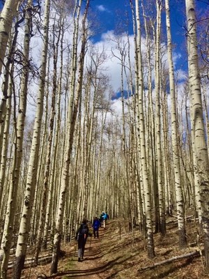 Ascending Hikes - Skill Building – Kenosha Pass East