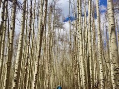 Ascending Hikes - Skill Building – Kenosha Pass East