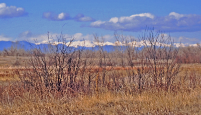 Ascending Hikes - Skill Building – Orbital Trail - Segment 11