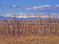 Ascending Hikes - Skill Building – Orbital Trail - Segment 11