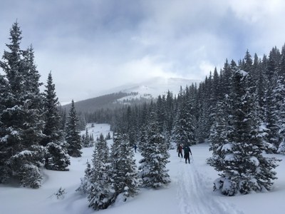 Backcountry Nordic Skiing – BC Ski Lower Bemrose Ski Circus
Moderate II Ski Tour Backcountry Nordic Skiing – BC Ski Lower Bemrose Ski Circus
Moderate II Ski Tour
