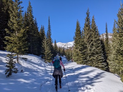 Backcountry Nordic Skiing – Cameron Pass Backcountry Nordic Skiing – Cameron Pass