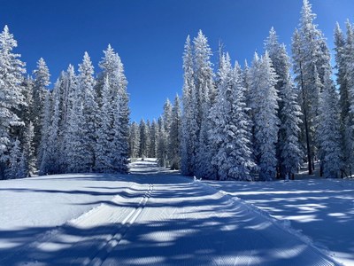 Backcountry Nordic Skiing – Grand Mesa Backcountry Nordic Skiing – Grand Mesa