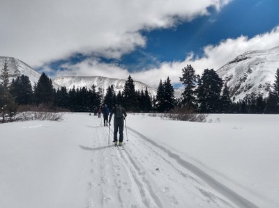 Backcountry Nordic Skiing – XC Ski Monarch Park / Dogs are welcome! Backcountry Nordic Skiing – XC Ski Monarch Park / Dogs are welcome!