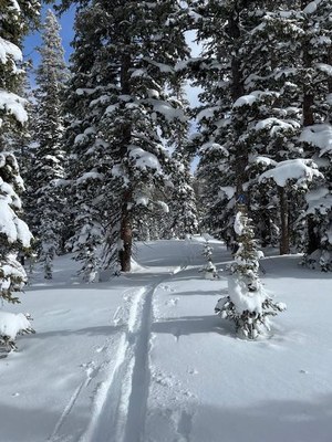 Backcountry Nordic Skiing – Zimmerman Lake TH - Lake and Meadows Trail