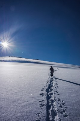 Backcountry Skiing/Splitboarding – Commando Run Ski Traverse Backcountry Skiing/Splitboarding – Commando Run Ski Traverse