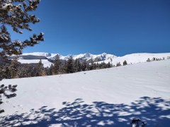 Backcountry Skiing/Splitboarding – Location TBD for best snow