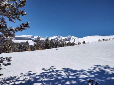 Backcountry Skiing/Splitboarding – Mayflower Gulch
