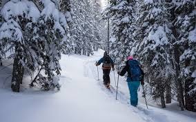 Backcountry Skiing/Splitboarding – Old Monarch Pass