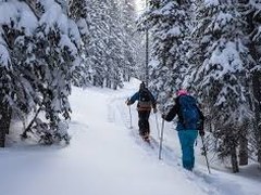 Backcountry Skiing/Splitboarding – Old Monarch Pass
