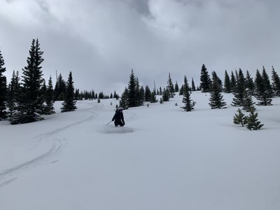 Backcountry Skiing/Splitboarding – Red Mountain Glades