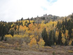 Backpack – Buffalo Pass Lakes 2-Day Backpack
A short backpack on a loop trail to four lakes near Buffalo Pass near Steamboat Springs. Backpack – Buffalo Pass Lakes 2-Day Backpack
A short backpack on a loop trail to four lakes near Buffalo Pass near Steamboat Springs.