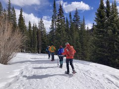 Basic Snowshoe – Brainard Cabin