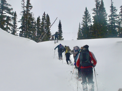 Basic Snowshoe – Course Venue TBA
