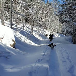Basic Snowshoe – Davenport Campground Area-Squirrel Creek Trail Basic Snowshoe – Davenport Campground Area-Squirrel Creek Trail
