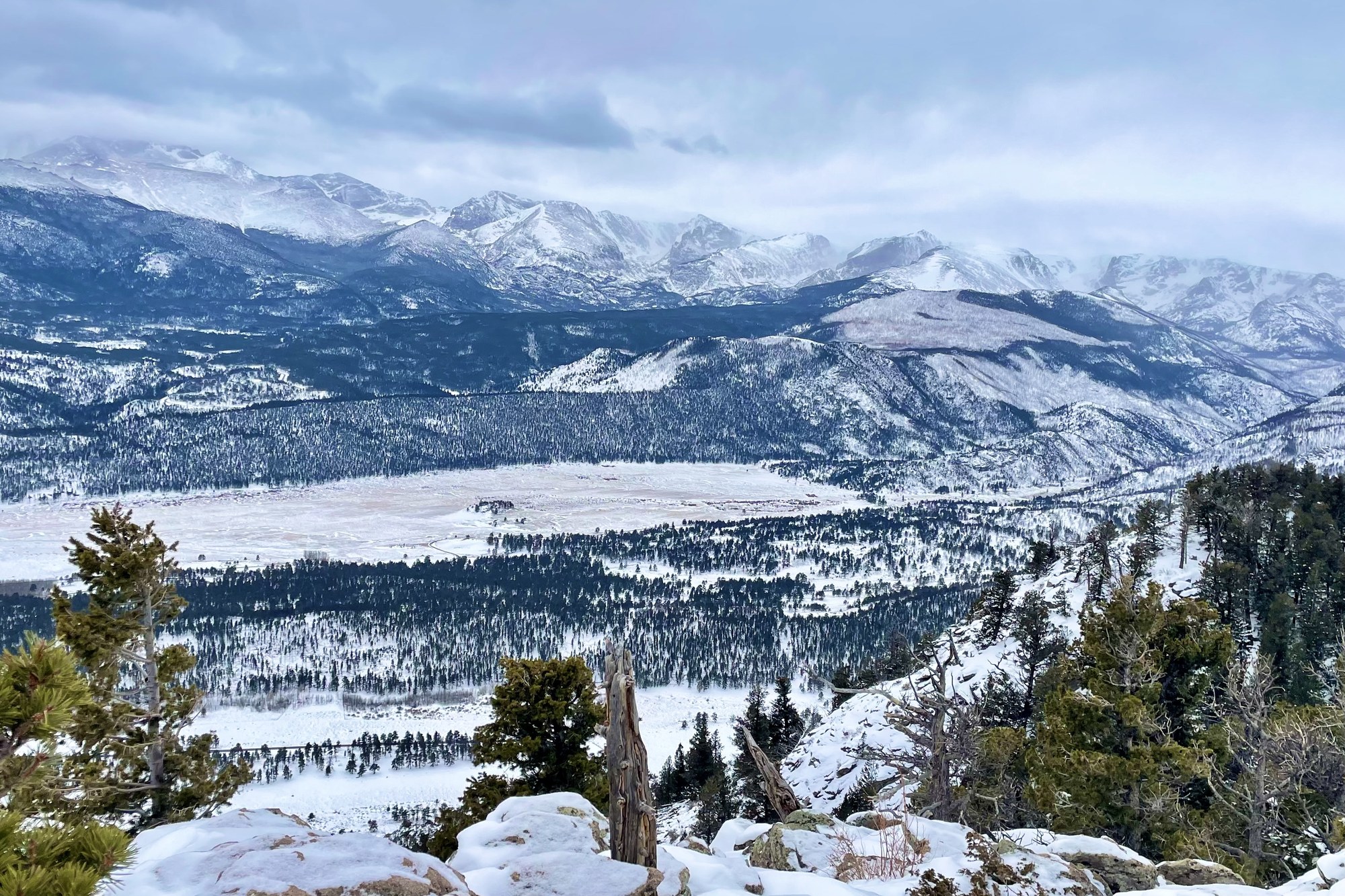 Basic Snowshoe Deer Mountain, Rocky Mountain National Park Snowshoe