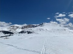 Basic Snowshoe – Guanella Pass