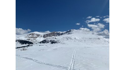 Basic Snowshoe – Guanella Pass Basic Snowshoe – Guanella Pass
