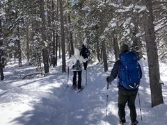 Basic Snowshoe – Sourdough Trail