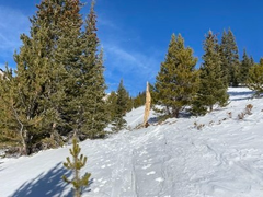 Basic Snowshoe – Watrous Gulch Trail