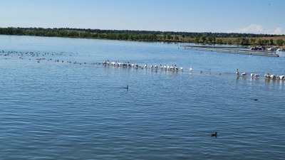 Bike – RMOTHG - Hare Ride - Cherry Creek Reservoir Bike – RMOTHG - Hare Ride - Cherry Creek Reservoir