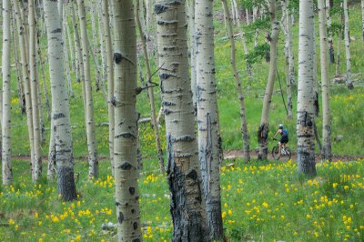 Bike – Staunton State Park Bike – Staunton State Park
