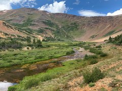 Bobcats trip – Geneva Creek Iron Fens