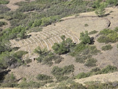 Bobcats trip – South Table Mountain
