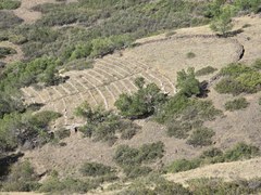 Bobcats trip – South Table Mountain