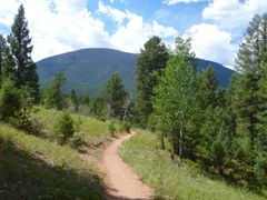 BPX Trip – 4-Day: Colorado Trail Segments 4 & 5 from Rolling Creek TH