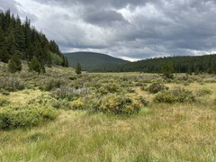 BPX Trip – BPX 3-Day: Lost Park from Rolling Creek TH