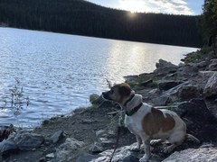 Camp – Jefferson Lake Recreation Area