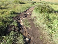 Conservation – Guanella Pass Conservation – Guanella Pass