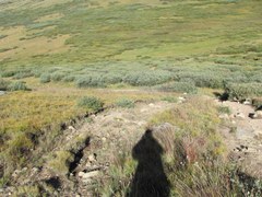 Conservation – Guanella Pass