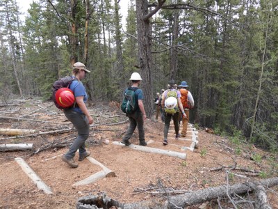 Conservation – The Crags Trail Conservation – The Crags Trail