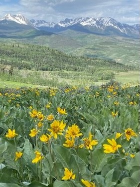 Hiking – Acorn Creek TH Hiking – Acorn Creek TH