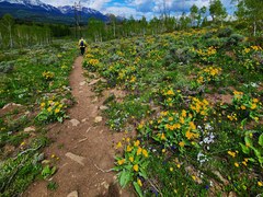 Hiking – Acorn Creek TH - Acorn Creek Loop