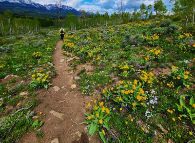 Hiking – Acorn Creek TH - Acorn Creek Loop
