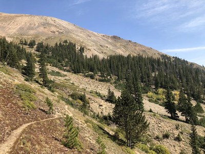 Hiking – Bard Creek Trail Hiking – Bard Creek Trail