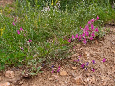 Hiking – Betasso Preserve Hiking – Betasso Preserve
