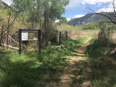 Hiking – Bird hike at Oxbow park and preserve (Durango) Hiking – Bird hike at Oxbow park and preserve (Durango)