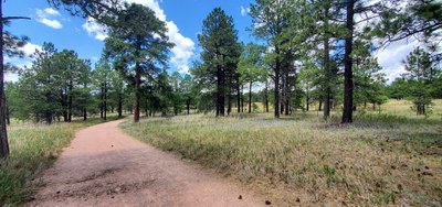 Hiking – Black Forest Section 16