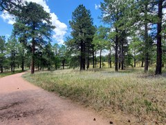 Hiking – Black Forest Section 16