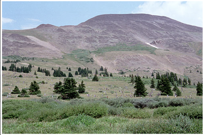 Hiking – Boreas Pass TH - Boreas Mountain Hiking – Boreas Pass TH - Boreas Mountain