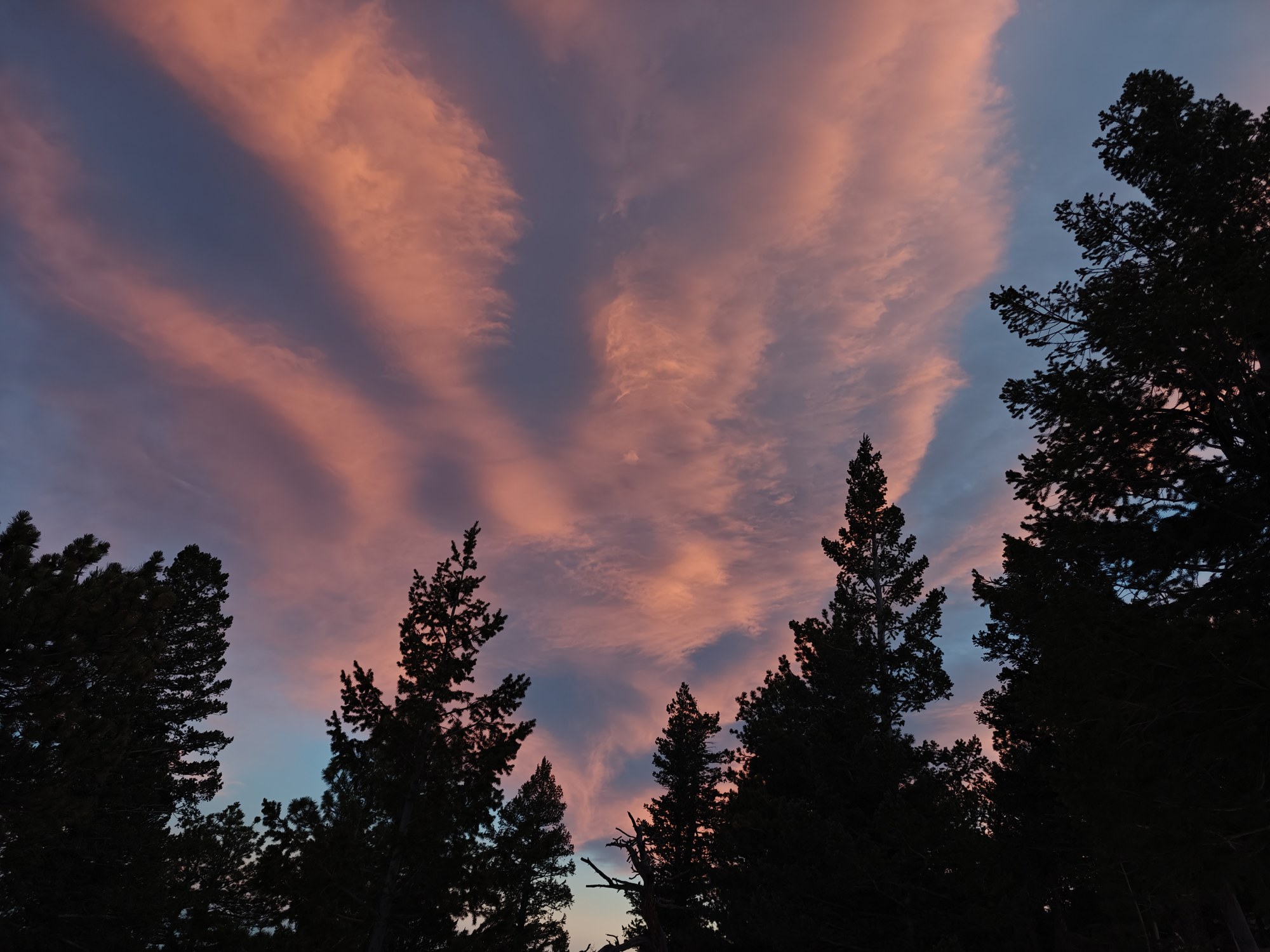 Hiking – Boulder Open Space - Anemone Loop — The Colorado Mountain Club