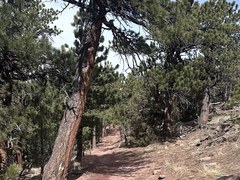 Hiking – Boulder Open Space - Mount Sanitas Hiking – Boulder Open Space - Mount Sanitas