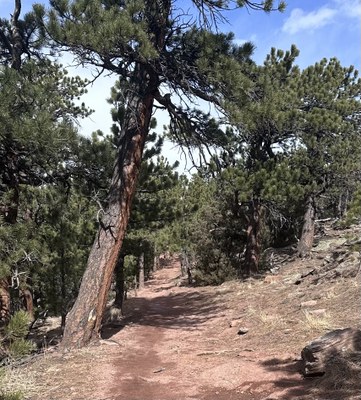 Hiking – Boulder Open Space - Mount Sanitas Hiking – Boulder Open Space - Mount Sanitas