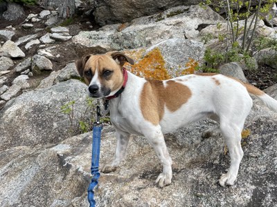 Hiking – Castlewood Canyon State Park