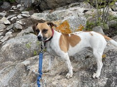 Hiking – Castlewood Canyon State Park