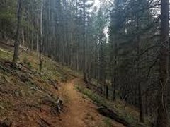 Hiking – Catamount Ranch - Limber Pine Trail